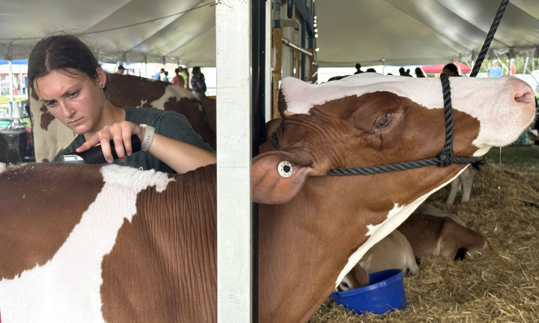 4-H Youth 11 .JPG